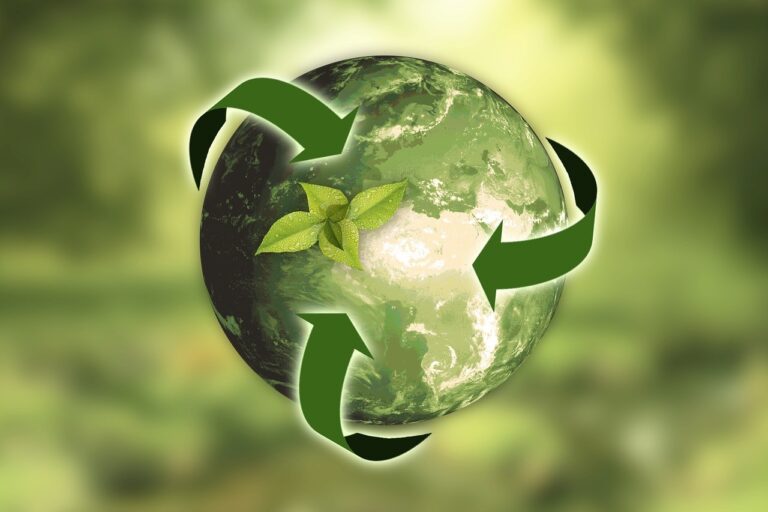 10 mejores prácticas para un vaciado respetuoso con el medio ambiente